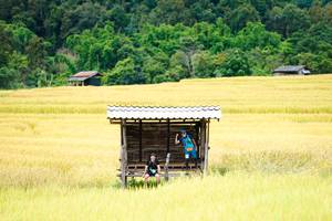 BIB: 
                            <button type="button" onclick="openModal(13443649)" class="btn btn-primary btn-sm float-right btn-popup" data-toggle="modal" data-target=".modal-high-quality">
                        <i class="fas fa-shopping-cart"></i> Add to Cart
                    </button>
                                            <button type="button" onclick="isThisMe(13443649, true)" class="btn btn-success btn-sm float-right btn-popup btn-isme hidden" data-toggle="tooltip" data-placement="bottom" title="นี่คือรูปของคุณใช่ไหม คลิกที่นี่เพื่อเอาเข้าอัลบั้ม">
                        <i class="fas fa-plus"></i> Add to album
                    </button>
                    <button type="button" onclick="isThisMe(13443649, false)" class="btn btn-warning btn-sm float-right btn-popup btn-isnotme hidden">
                        <i class="fas fa-ban"></i> Remove from album
                    </button>